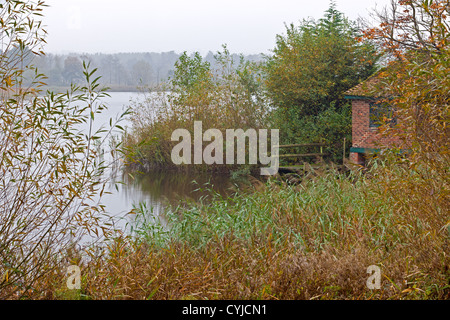 Blick durch das Schilf im alten Bootshaus auf Frensham Pond in Surrey England, aufgenommen an einem nebligen Tag im späten Oktober. Stockfoto