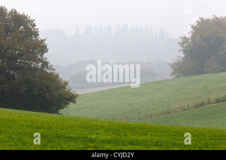 Frühen Morgennebel Blick über Felder in Richtung Chawton in Hampshire, England, Stockfoto