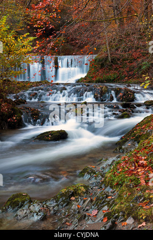 Stockghyll Kraft-Wasserfall in der Nähe von Ambleside im Lake district Stockfoto