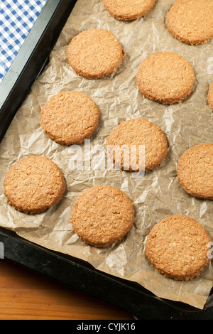 Hafer-Kekse auf das Backblech frisch gebacken Stockfoto