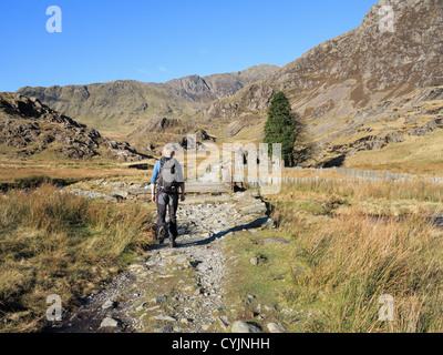 Männliche Wanderer Wandern auf dem Watkin Pfad Weg zum Mount Snowdon im Cwm Llançà Tal, Snowdonia National Park, North Wales, UK, Großbritannien Stockfoto