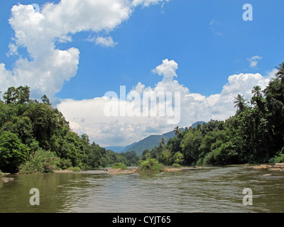 Geschützten Regenwald-Bereich auf dem Kelani Fluss, in der Nähe von Kitulgala, Sri Lanka Stockfoto