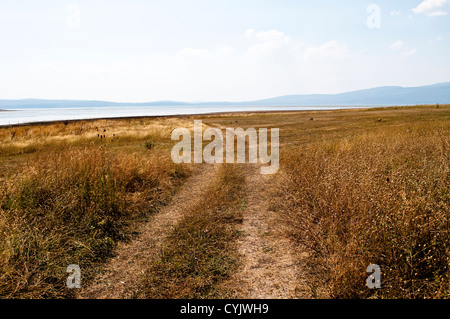 Sumpfgebiet um Busko See, westlichen Herzegowina, Bosnien und Herzegowina Stockfoto