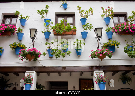 Töpfe mit Blumen und Pflanzen an der Wand eines traditionellen Hauses in Andalusien, Cordoba, Spanien. Stockfoto