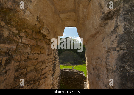 Blick durch Caana Pyramide Portal, Caracol antiken Maya-Stätte, Belize Stockfoto