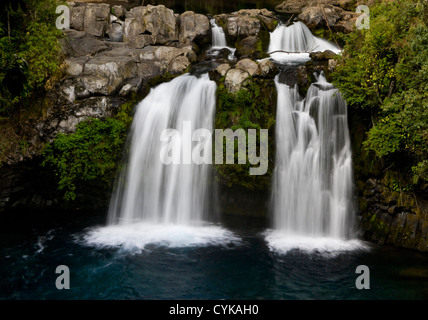 Chile. Süd-Amerika. Wasserfälle bei Ojos del Caburga, gespeist von Federn See Caburgua ablassen. -Seen-Region. Araucania-Region Stockfoto