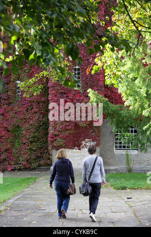 DIE WILDEM WEIN AM ST. JOHNS COLLEGE IN CAMBRIDGE GEWORDEN IN DER ZEIT FÜR DEN ERSTEN TAG DES HERBSTES ROT Stockfoto