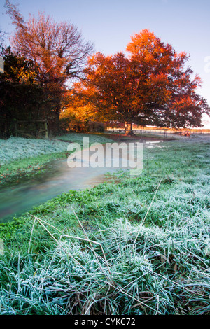 Dem ersten harten Frost des Jahres, mit herbstlichen Bäume im Hintergrund und ein Winter-nur Bach durch. Stockfoto