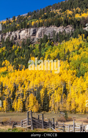 Herbstfarbe in Aspen Bäumen entlang US 550, bekannt als der "Million Dollar Highway" im Südwesten von Colorado. Stockfoto