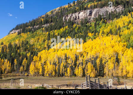 Herbstfarbe in Aspen Bäumen entlang US 550 in Colorado, bekannt als der "Million Dollar Highway" Stockfoto