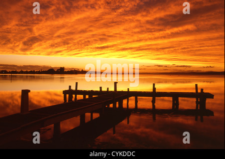 Steg am Sonnenuntergang Lake Macquarie New South Wales NSW Australia Stockfoto