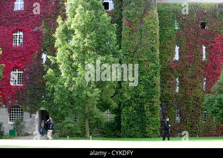 DIE WILDEM WEIN AM ST. JOHNS COLLEGE IN CAMBRIDGE GEWORDEN IN DER ZEIT FÜR DEN ERSTEN TAG DES HERBSTES ROT Stockfoto