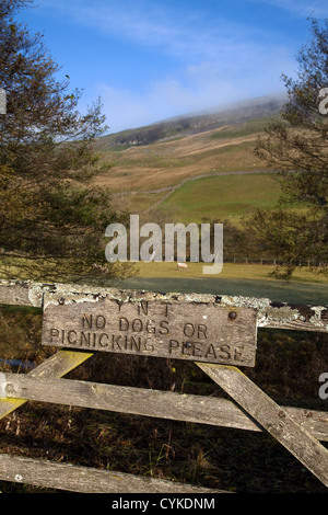 YNT Yorkshire Natur Dreieck. National Trust Wege und Pfade mit einem hölzernen Tor und Zugang zu Swaledale Landschaft in der Nähe von Muker, Richmondshire, Großbritannien Stockfoto