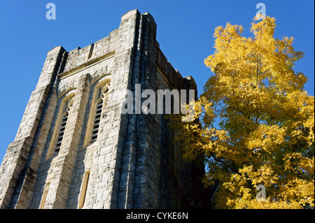 Ryerson United Church (Pacific Spirit United Church) und goldblättriger Herbstbaum, Kerrisdale, Vancouver, BC, Kanada Stockfoto