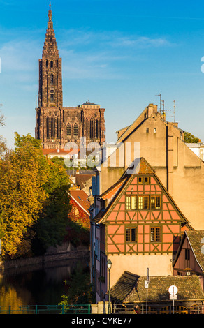 La Petite France Häuser und gotische Kathedrale Notre-Dame, 14. Jahrhundert, Straßburg, Elsass, Frankreich Stockfoto