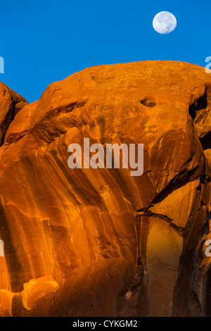 Monduntergang über Parade der Elefanten Felsformation bei Sonnenaufgang im Arches National Park in Utah. Stockfoto