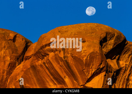 Monduntergang über Parade der Elefanten Felsformation bei Sonnenaufgang im Arches National Park in Utah. Stockfoto