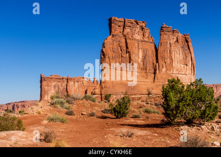 Die Orgel Sandsteinformation im frühen Morgenlicht im Arches National Park in Utah. Stockfoto