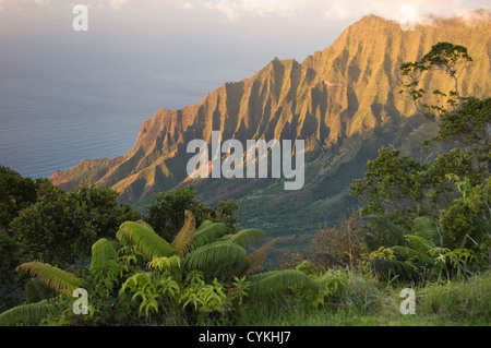 Elk284-7511 Hawaii, Kauai, Kalalau Valley, Kokee State Park, Blick auf die pali Stockfoto