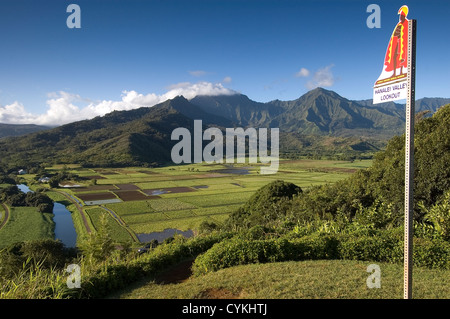 Elk284-7681 Hawaii, Kauai, Hanalei Valley Overlook, Taro-Felder unten Stockfoto