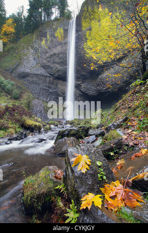 Latourell Wasserfälle entlang des Columbia River Gorge historischen Highway im Herbst Stockfoto