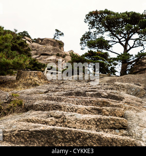 Nach oben Stein Treppe zur Plattform am gelben Berg Stockfoto