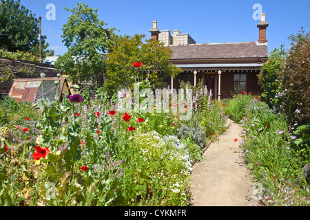 Historisches Haus in Melbourne Australien mit erstaunlichen alten bewachsenen Garten voller Blumen an einem sonnigen Tag im Sommer. Stockfoto