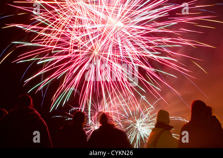 Eine Menge Leute Feuerwerk anzeigen Stockfoto