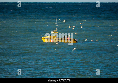 Boot am Hafen Holyhead Anglesey North Wales Uk. BS36 Cheeta Marine Catmarang Honda Twin Außenbordmotor. Stockfoto