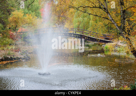 Botanischer Garten Breslau im bunten Herbstlaub Stockfoto