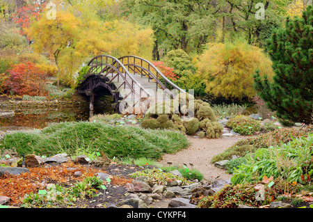 Botanischer Garten Breslau im bunten Herbstlaub Stockfoto