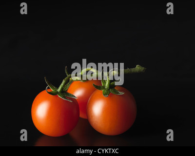 Nahaufnahme von Tomaten auf Rebe Stockfoto