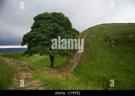 Steinwände im ländlichen Bereich Stockfoto