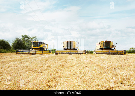Erntemaschinen im Ernte-Bereich tätig Stockfoto