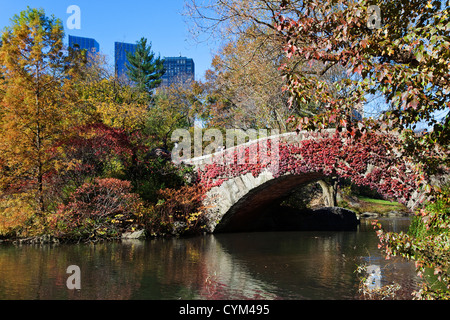 Fallen Sie im Central Park, New York Stockfoto