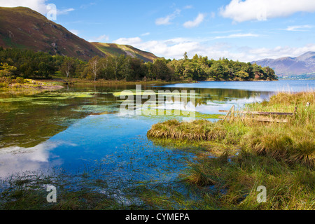 Der Leiter des Derwent Water in der Nähe von Grange in den Lake District, Cumbria, England, UK Stockfoto