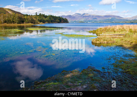 Der Leiter des Derwent Water in der Nähe von Grange in den Lake District, Cumbria, England, UK Stockfoto