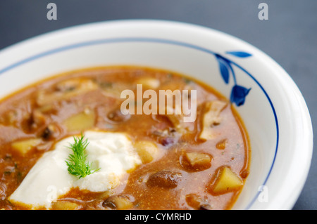 Eine leckere herzhafte Pilzsuppe mit Kartoffeln. Stockfoto