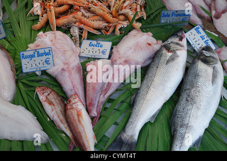 gestreifte Meeräschen Markt Filets vom Seeteufel, Meer Bässe und Scampi (Kaisergranat) auf Fisch Stockfoto