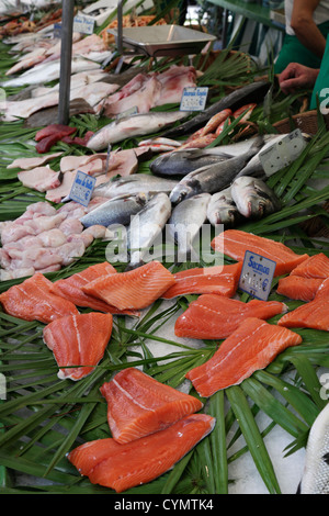 Fisch-Stall mit Lachsfilets Stockfoto