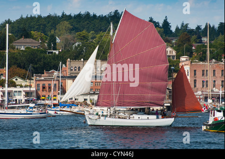 Eine Vielzahl von Segelbooten aus Holz sammeln für das Port Townsend Holzboot-Festival in dieser historischen Hafenstadt im US-Bundesstaat Washington Stockfoto