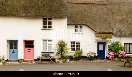 Strohgedeckten Hütten, Hoffnung, Devon, UK Stockfoto