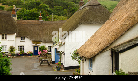 Strohgedeckten Hütten, Hoffnung, Devon, UK Stockfoto