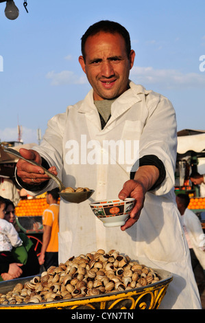 Schmackhafte Schnecken verkauft auf dem freien Markt auf dem Platz Djemaa el Fna SQ in Marrakesch. Stockfoto