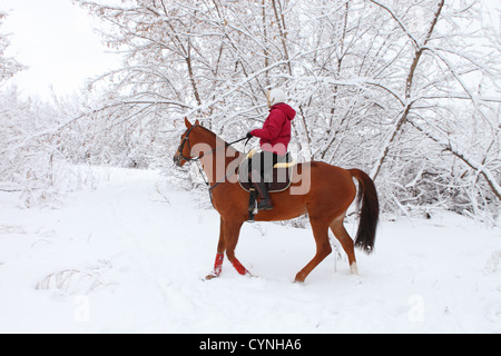 Winter-Ausritt Stockfoto