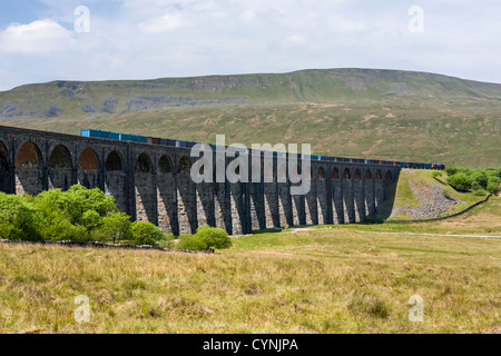 Class 66 Deisel e-Lok zieht einen Güterzug über Ribblehead-Viadukt, North Yorkshire Stockfoto