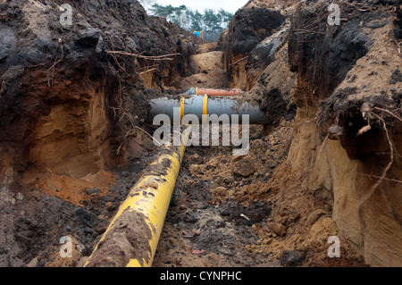 PVC-Rohre in die Erde Stockfoto