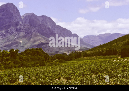 Südafrika Feb 1994 digitale Slide Umbauten, Kap-holländischen große Drakenstein, Weinberge und Berge von Stellenbosch, Südafrika Stockfoto