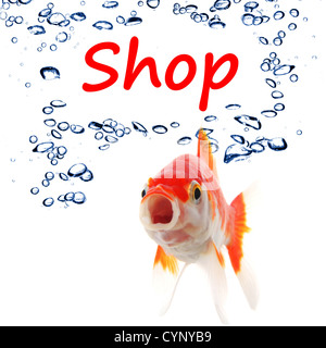 Einkaufen oder Shop-Konzept mit Wort und Goldfisch Stockfoto