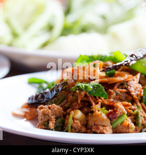 Larb, Hackfleisch Ente mit würzigen Geschmack, thailändisches Essen Stockfoto